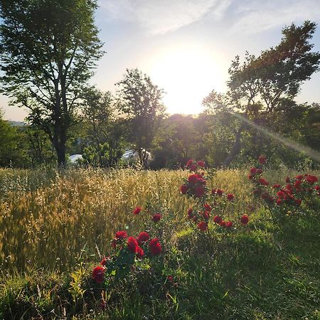 Hipostel Bir Pansiyon Pālampur Dış mekan fotoğraf